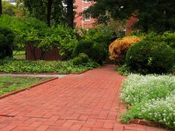 red Clinker Pathway Bricks