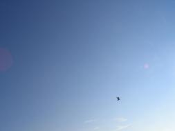 googly Sky Blue View