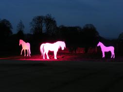 light installation of horses