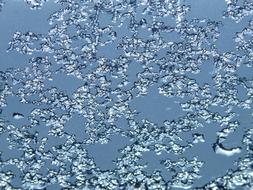 photo of ice floes on glass
