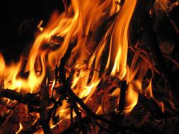 burning bonfire close-up in the dark