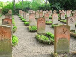 Memorial cemetery with the tombstones with stars, among the green plants