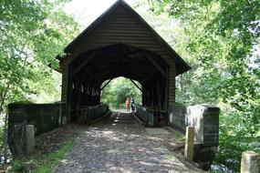 landscape of Wooden Bridge Muritz