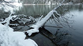 landscape of Alatsee Allgau at Winter