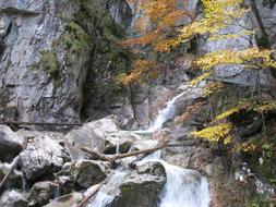colorful trees at waterfall on rock, germany, Allgau