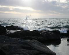 Sea Coast Surf backlighting