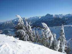 Cockscomb Winter snow