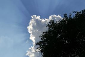 sunbeams behind Cloud above tree top