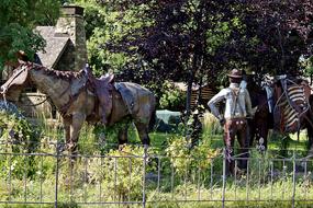 Person in hat, near the beautiful and colorful, cute horses, among the colorful plants