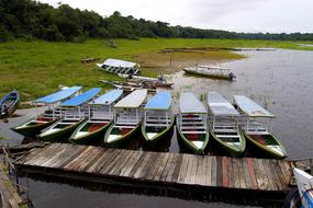 pleasure boats near the wooden pier on the amazon