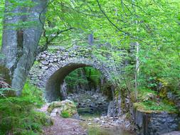 stone round bridge among green trees