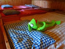 Frog Kermit sleep