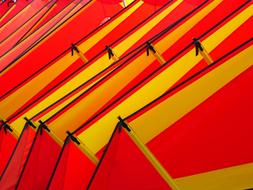 Close-up of the red and yellow sails for wind surfing, in light