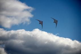 flying dragons in the sky near the clouds