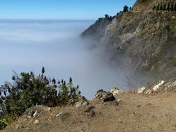 California Coast fog