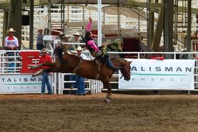 horse racing person
