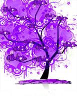 Tree Lilac as an illustration