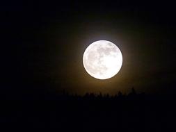 Moon Full Night white