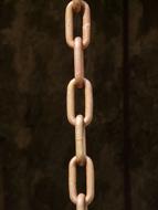 Links Of The Chain close up