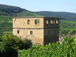 Castle Ruins and green garden