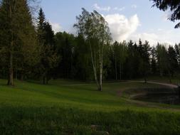 Evening Spring Park green