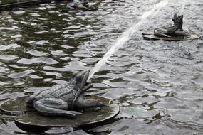 frogs as a fountains on the pond