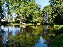 Beautiful landscape with the pond, among the green plants in the Garden Pilinitz, Dresden, Germany