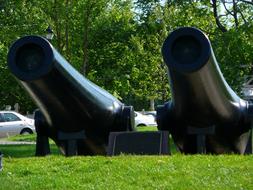 Canons Decommissioned Exhibits and green grass