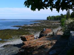 rocky coastline at acadia national park
