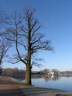 Beautiful, blue pond, among the colorful trees, at blue sky on background, in spring