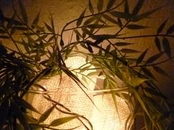 Light Decoration and grass