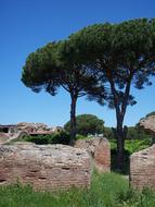 Italia Ostia Antica and trees