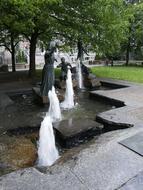 Park Fountains green trees
