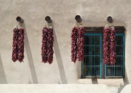 Dried Chili Peppers bunches on wall