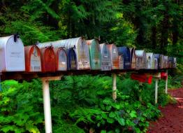 Row on the colorful mailboxes, on the stand, among the green plants in USA