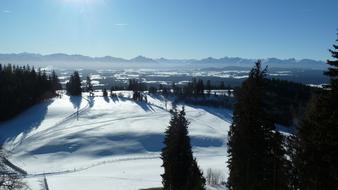 Auerberg View snow trees
