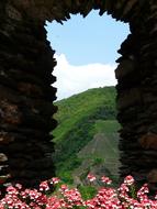 Stone Window flowers