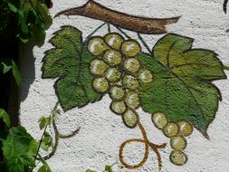 Mural Grapes drawing