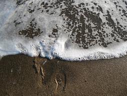 Footprints Surf water