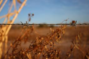 old Wire Barbed Field