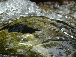 movement of water on a rock