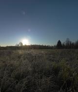 Autumn Sun Dawn grass