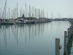 landscape of Pier Boats