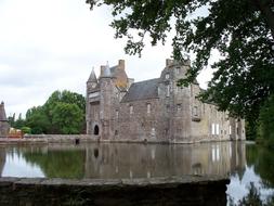 Castle Lake France and tree