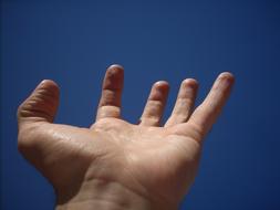 Hand Fingers at Sky