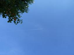 Aircraft Flying on blue sky