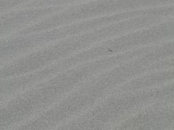 Sand Grain Grey