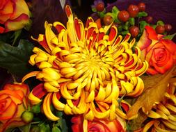 Chrysanthemum Flower and Yellow banana