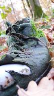 old abandoned shoes in the woods