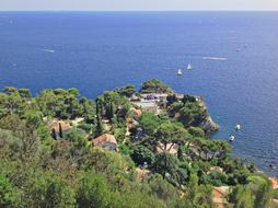 Beautiful landscape of the shore of Toulon, with the houses and colorful plants, in France